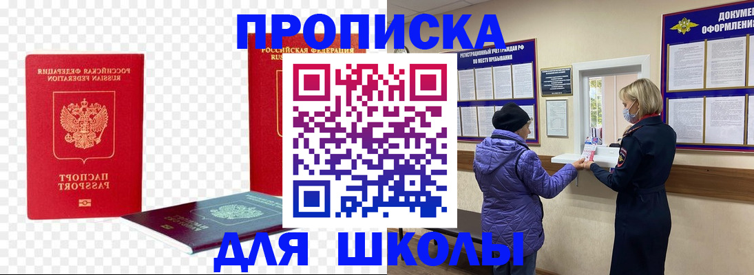 где прописаться в Ельне